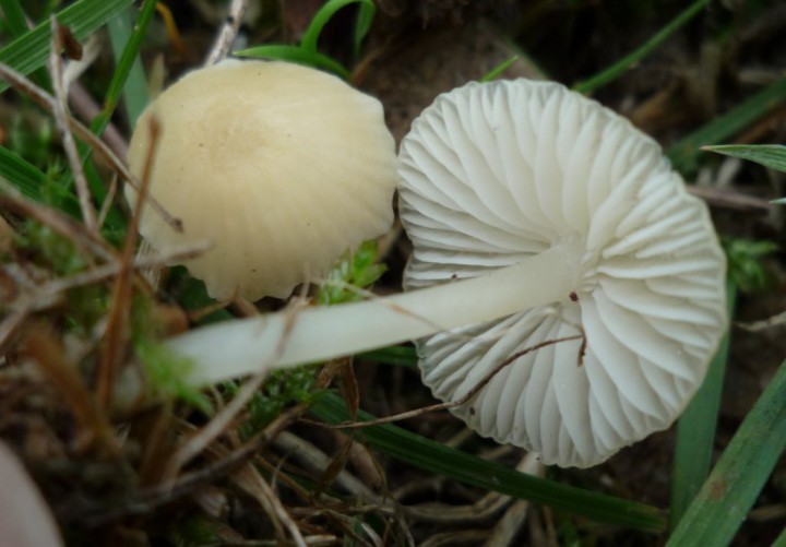 copie de L1240936.JPG