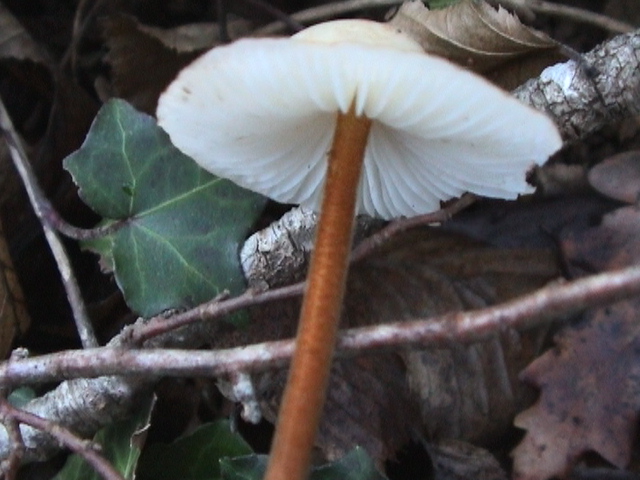 12541.jpg