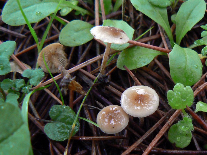 P1300109.jpg