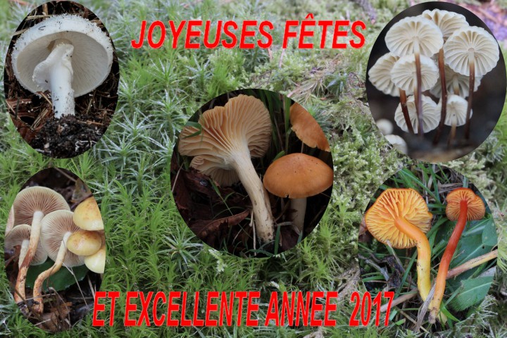 joyeuses fetes.jpg