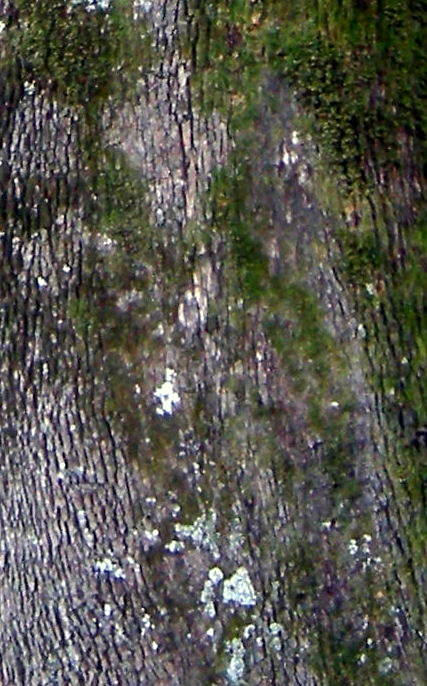 20170207_112022.JPG