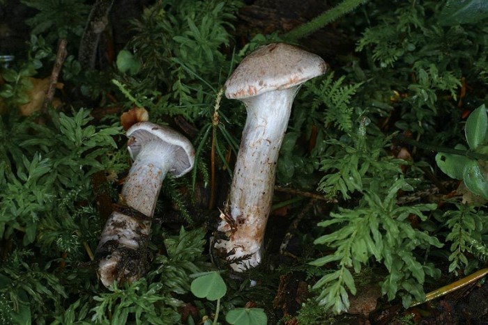 C28080804b.jpg