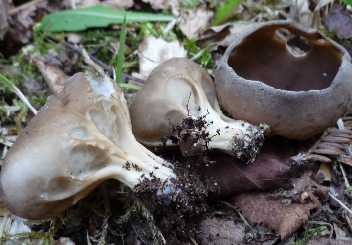 copie de L1250724.JPG