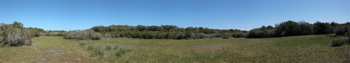 Cliquer sur l'image pour agrandir (le poteau est une jauge de niveau d'eau)