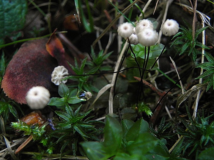 DSCN9444b.JPG