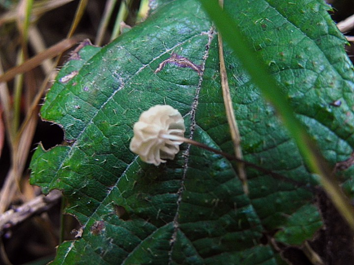 DSCN9448b.JPG