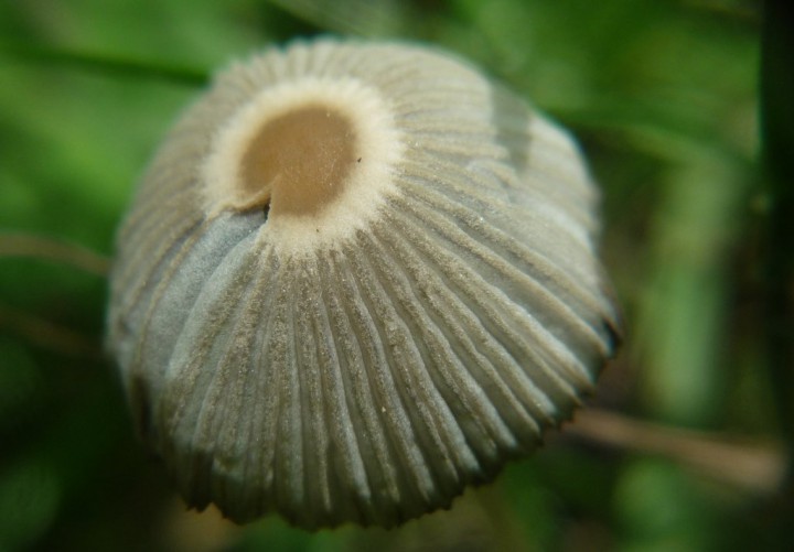 copie de L1260291.JPG