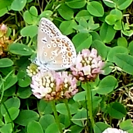 20170709_145331.jpg