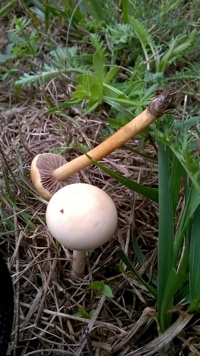 WP_20170713_001.jpg