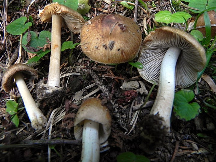 DSCN0144b.JPG