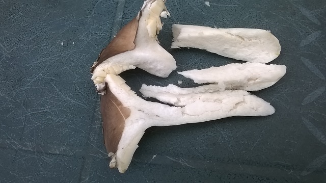 WP_20170727_019.jpg