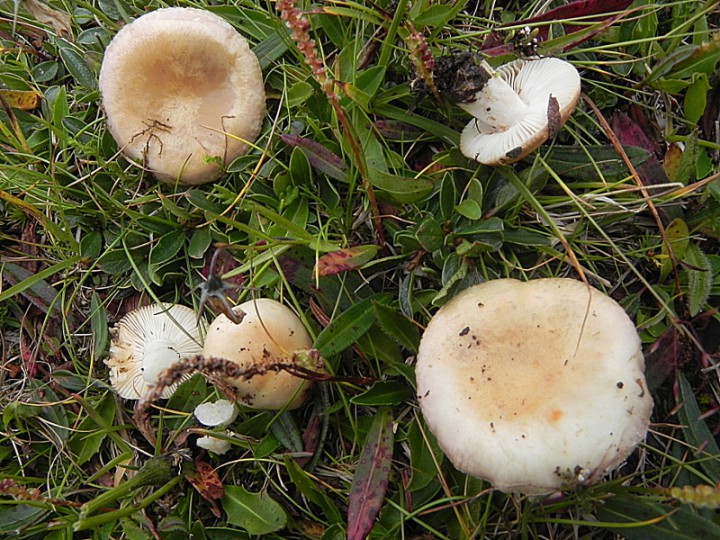 DSCN0385b.JPG