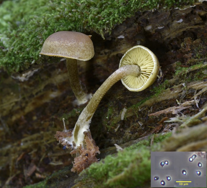 _DSC0556 - copie.jpg