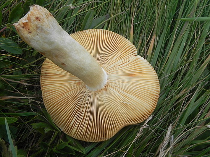 DSCN0477b.JPG