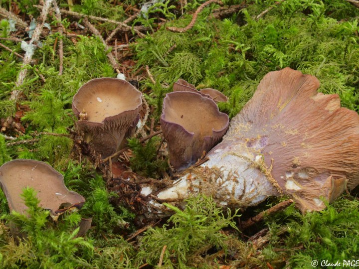 PC011790.JPG