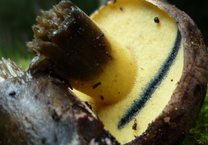 copie de L1270497.JPG