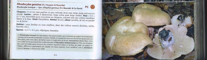Cliquer sur l'image pour agrandir