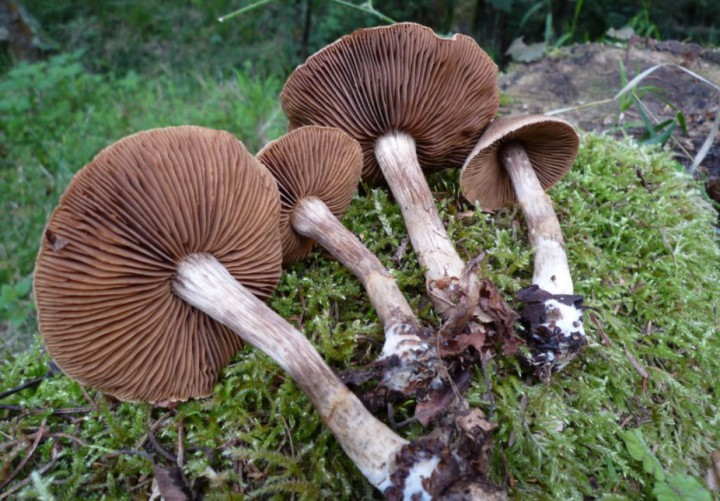 copie de L1280211.JPG