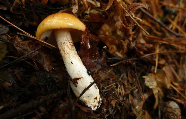 P1080109_1200.jpg