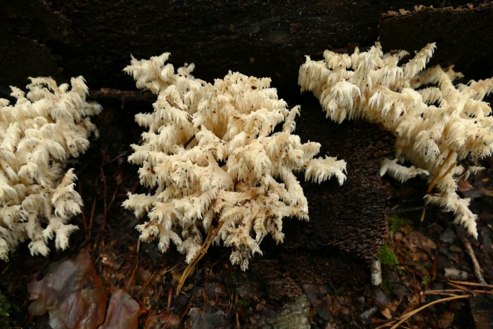 P1080102_1200.jpg