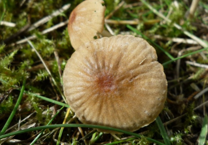 copie de L1280415.JPG