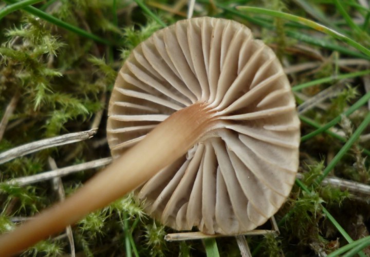 copie de L1280423.JPG