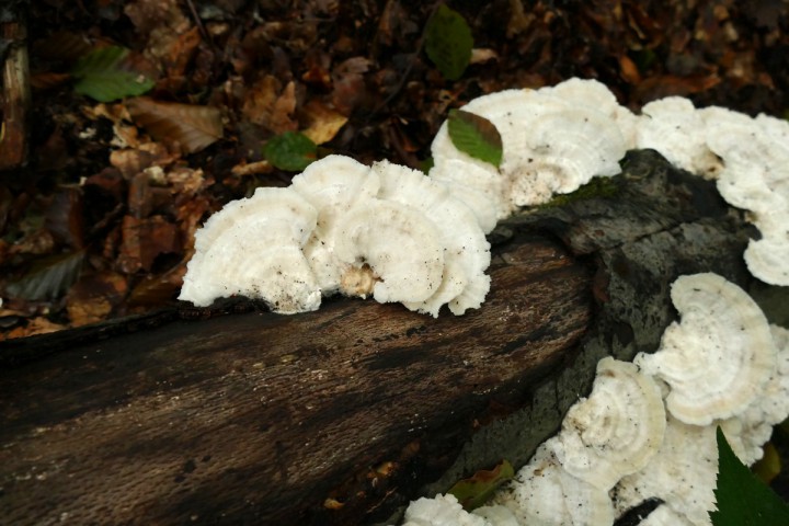 P1080098_1200.jpg