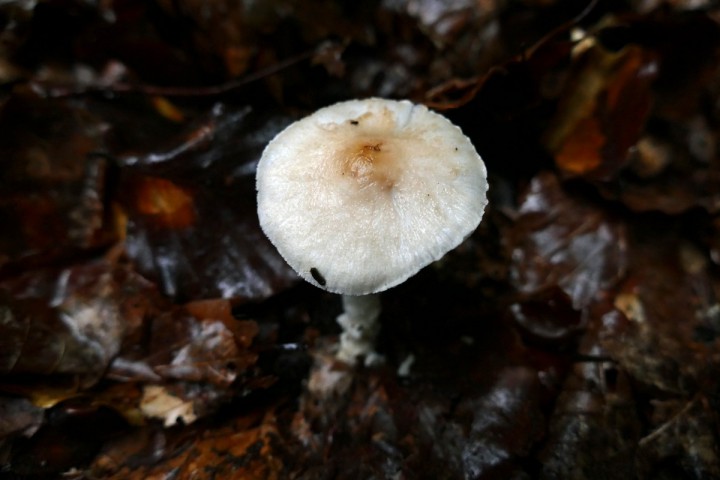 P1080176_1200.jpg