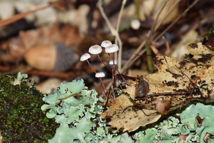 DSC_0575.jpg