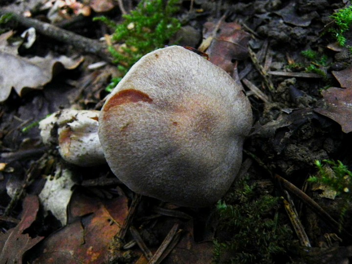 DSCN0699b.JPG