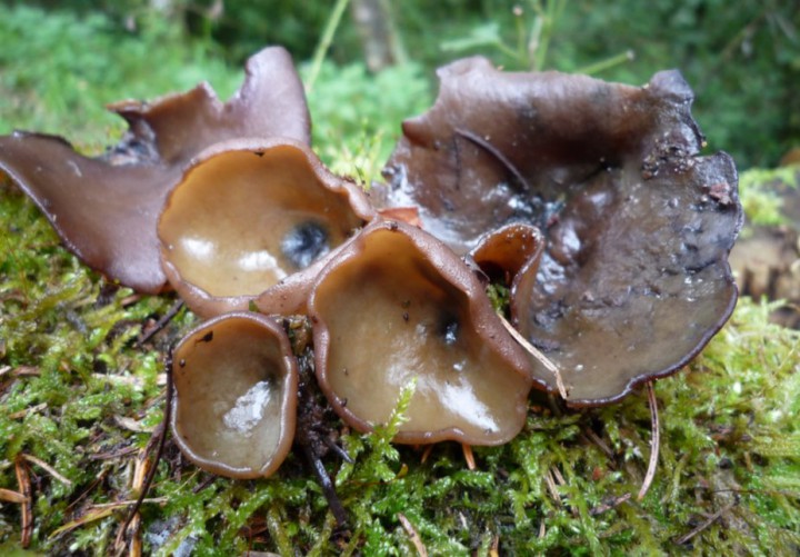 copie de L1290707.JPG