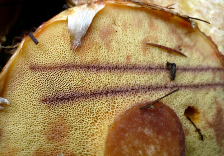 copie de L1290561.JPG
