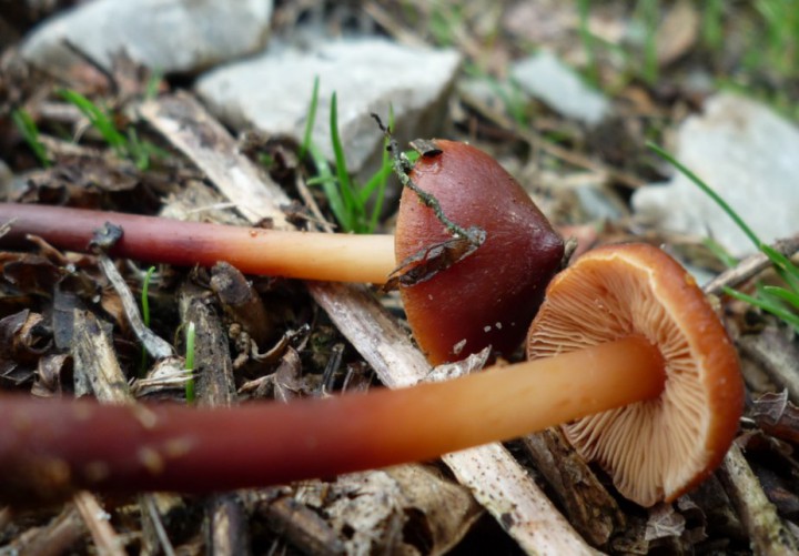copie de L1290644.JPG