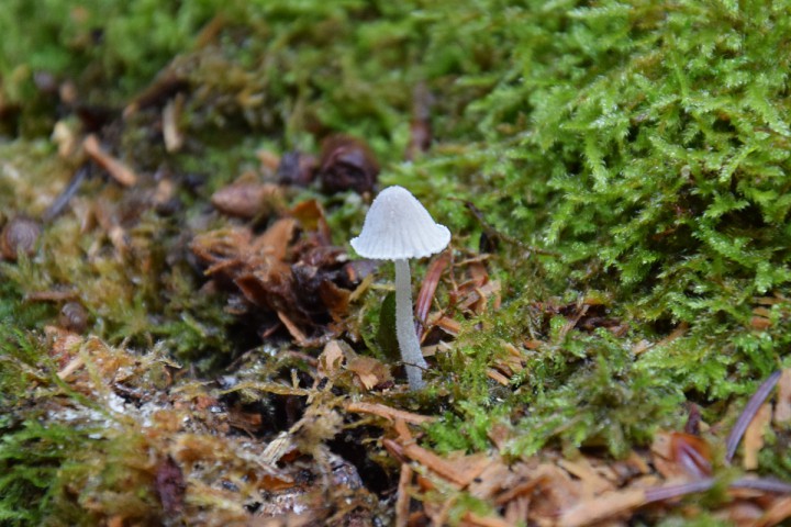 DSC_0600.jpg