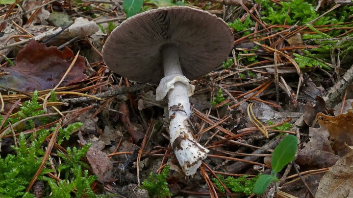 P1080544_1200.jpg