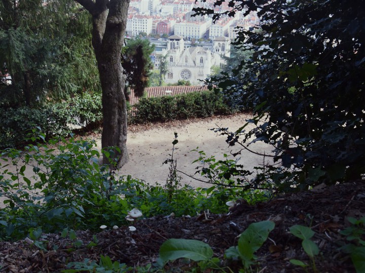 DSC_0064.JPG