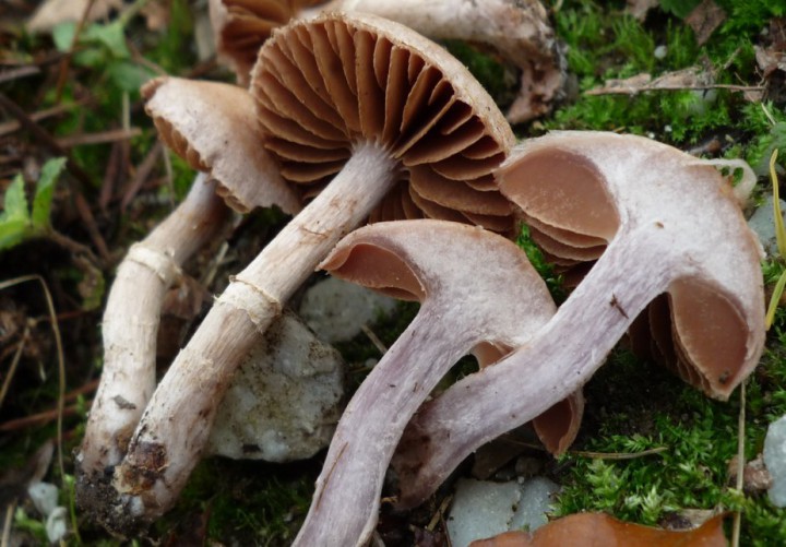 L1290966 (copie 1).JPG