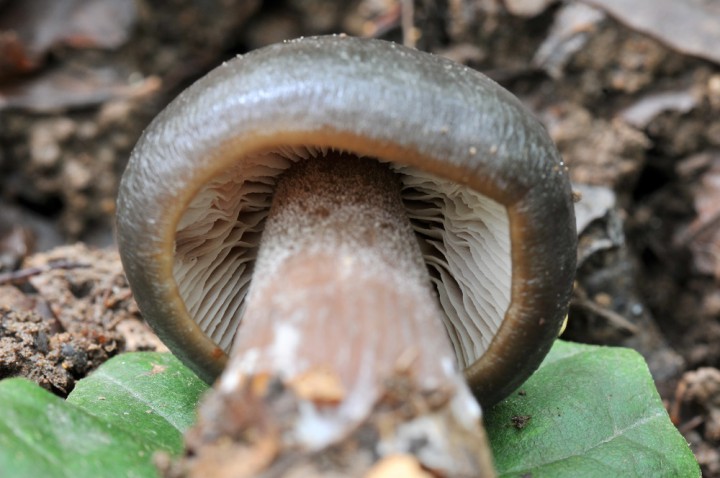DSC_9211.JPG