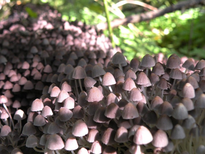 DSCN0416.JPG