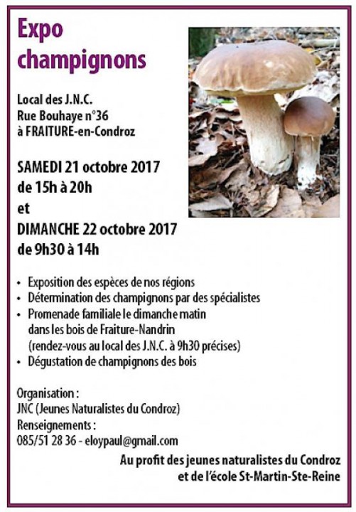 Expo-Champi2017.jpg