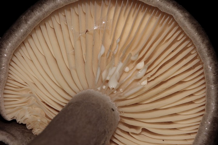 00002179.JPG