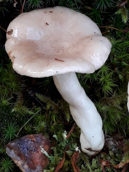 rps20171026_140825_444.jpg