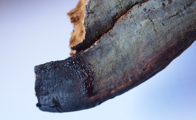 M00234e.JPG