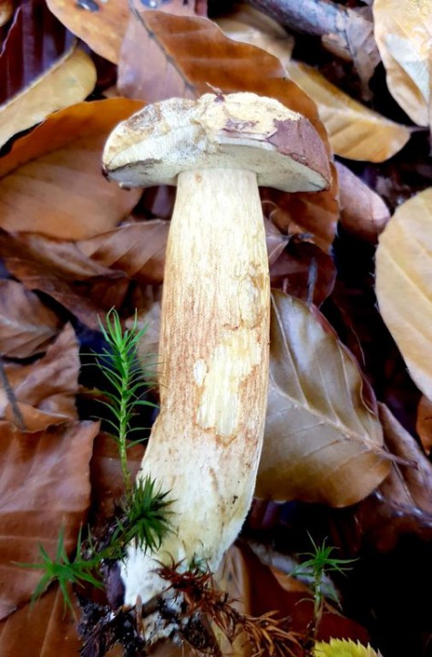 Nouveau document 2017-11-07 (6)_1.jpg