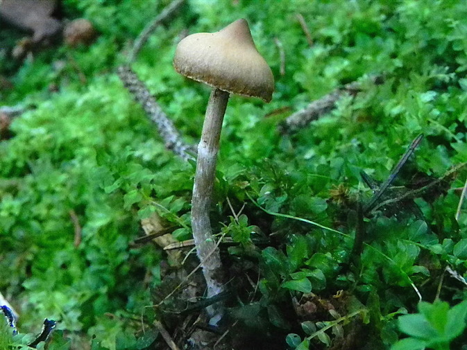 DSCN0844bb.JPG