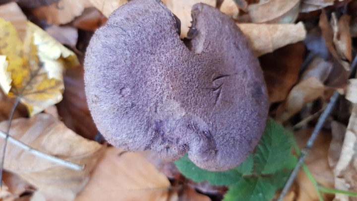 20171109_152136.jpg