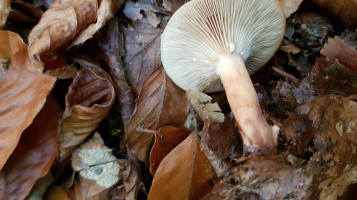 20171109_152758.jpg