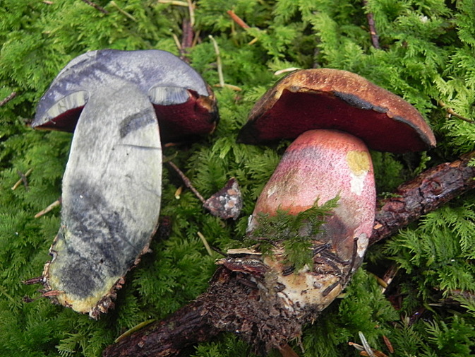 DSCN9441b.JPG
