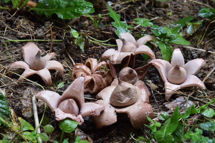 DSC_0297.jpg
