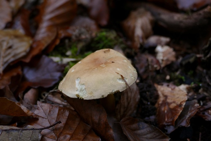P1080681_1200.jpg